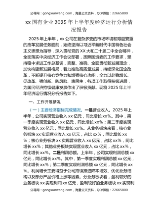 xx国有企业2025年上半年度经济运行分析情况报告