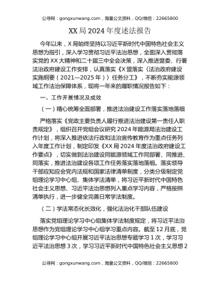 XX局2024年度述法报告