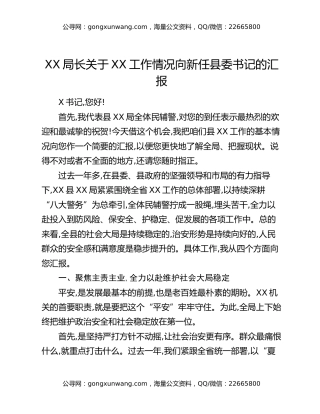 XX局长关于XX工作情况向新任县委书记的汇报