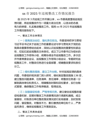 xx市2025年巡视整改工作情况报告