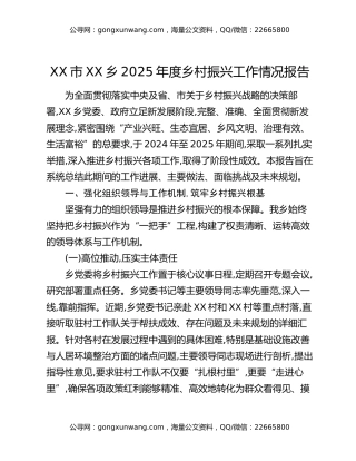 XX市XX乡2025年度乡村振兴工作情况报告