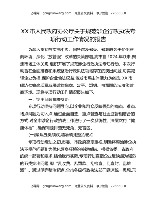 XX市人民政府办公厅关于规范涉企行政执法专项行动工作情况的报告