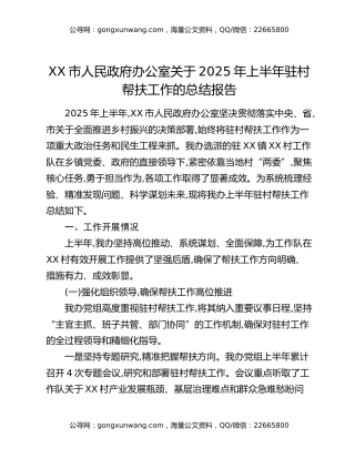XX市人民政府办公室关于2025年上半年驻村帮扶工作的总结报告