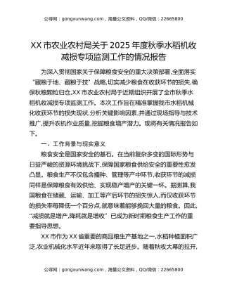 XX市农业农村局关于2025年度秋季水稻机收减损专项监测工作的情况报告