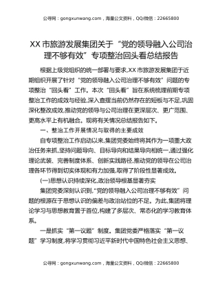 XX市旅游发展集团关于“党的领导融入公司治理不够有效”专项整治回头看总结报告