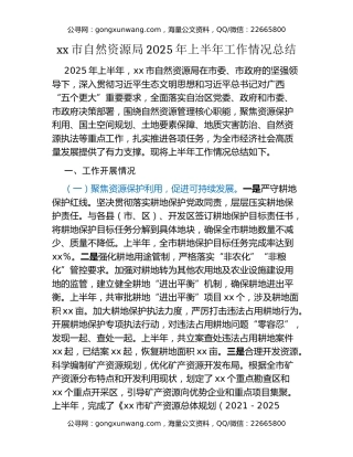 xx市自然资源局2025年上半年工作情况总结