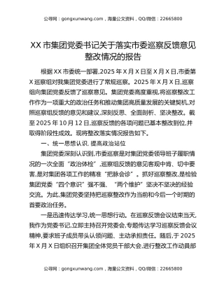 XX市集团党委书记关于落实市委巡察反馈意见整改情况的报告