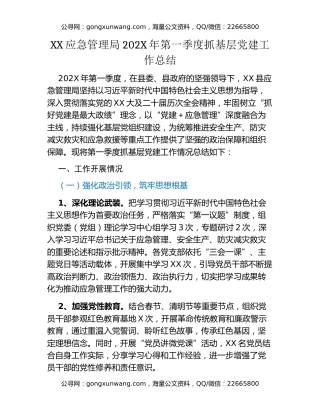 XX应急管理局202X年第一季度抓基层党建工作总结