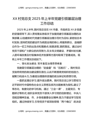 XX村党总支2025年上半年党建引领基层治理工作总结
