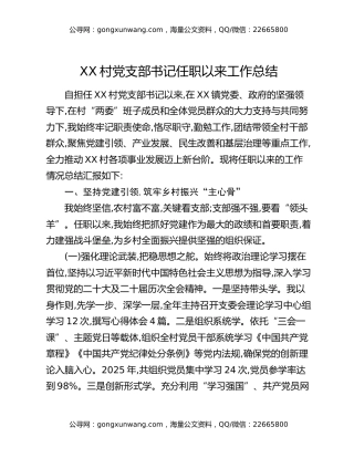 XX村党支部书记任职以来工作总结
