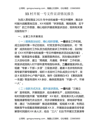 XX村开展一号文件宣讲情况报告