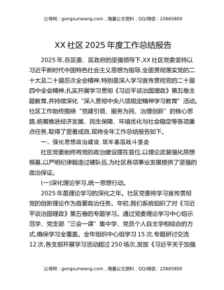 XX社区2025年度工作总结报告