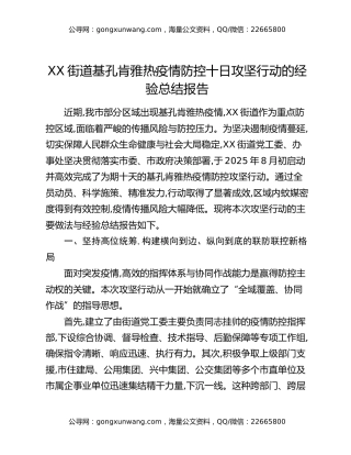 XX街道基孔肯雅热疫情防控十日攻坚行动的经验总结报告