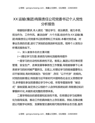 XX运输(集团)有限责任公司党委书记个人党性分析报告