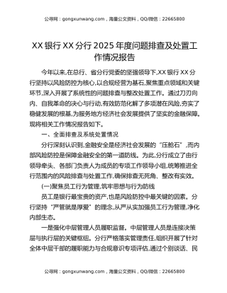 XX银行XX分行2025年度问题排查及处置工作情况报告