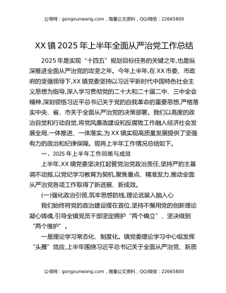 XX镇2025年上半年全面从严治党工作总结（2）