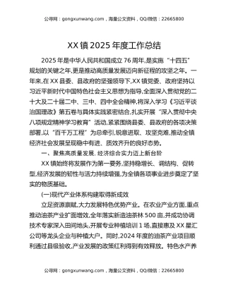 XX镇2025年度工作总结