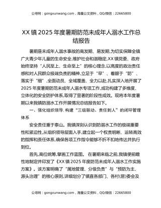 XX镇2025年度暑期防范未成年人溺水工作总结报告