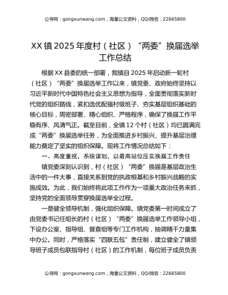 XX镇2025年度村（社区）“两委”换届选举工作总结