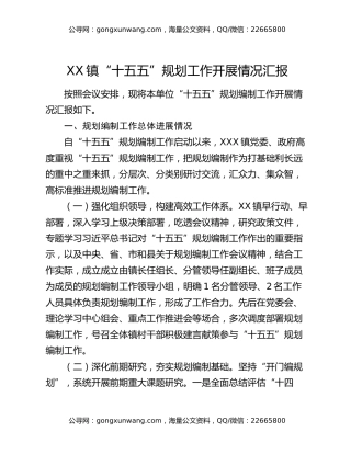 XX镇“十五五”规划工作开展情况汇报