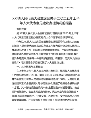 XX镇人民代表大会主席团关于二〇二五年上半年人大代表意见建议办理情况的报告