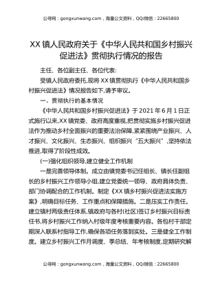 XX镇人民政府关于《中华人民共和国乡村振兴促进法》贯彻执行情况的报告