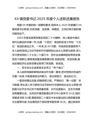 XX镇党委书记2025年度个人述职述廉报告