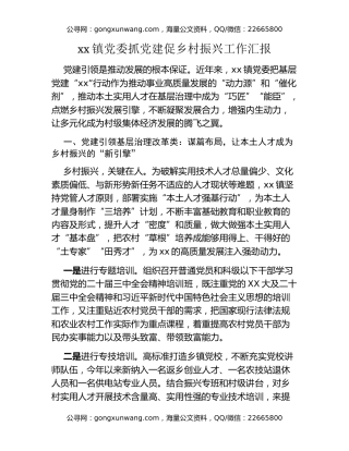 xx镇党委抓党建促乡村振兴工作汇报