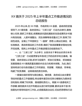 XX镇关于2025年上半年重点工作推进情况的总结报告