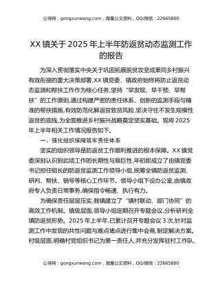 XX镇关于2025年上半年防返贫动态监测工作的报告