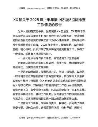 XX镇关于2025年上半年集中防返贫监测排查工作情况的报告