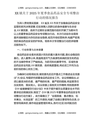 XX镇关于2025年夏季食品药品安全专项整治行动的情况报告