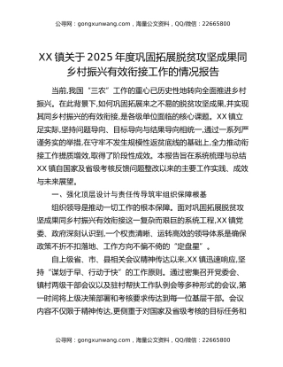 XX镇关于2025年度巩固拓展脱贫攻坚成果同乡村振兴有效衔接工作的情况报告