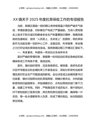 XX镇关于2025年度抗旱保收工作的专项报告