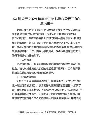 XX镇关于2025年度育儿补贴摸底登记工作的总结报告
