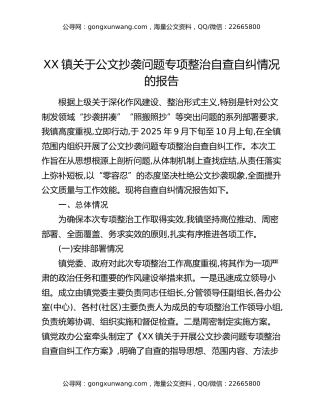 XX镇关于公文抄袭问题专项整治自查自纠情况的报告