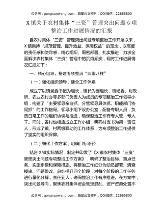 XX镇关于农村集体 “三资” 管理突出问题专项整治工作进展情况的汇报