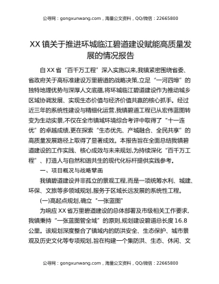 XX镇关于推进环城临江碧道建设赋能高质量发展的情况报告