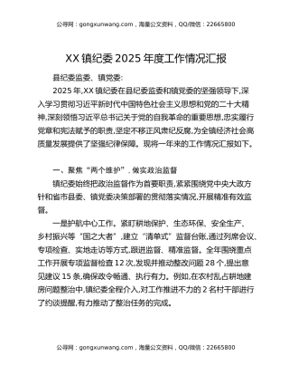 XX镇纪委2025年度工作情况汇报