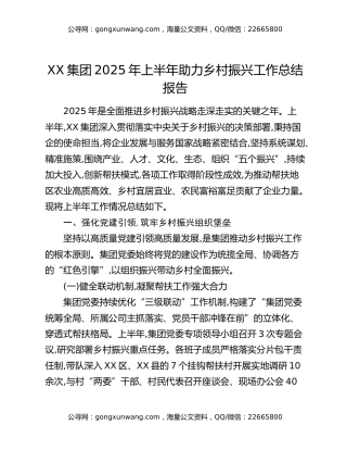 XX集团2025年上半年助力乡村振兴工作总结报告