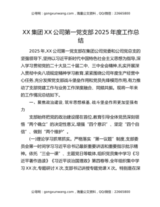 XX集团XX公司第一党支部2025年度工作总结（2）