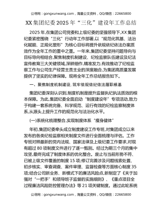 XX集团纪委2025年“三化”建设年工作总结