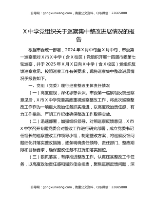 X中学党组织关于巡察集中整改进展情况的报告