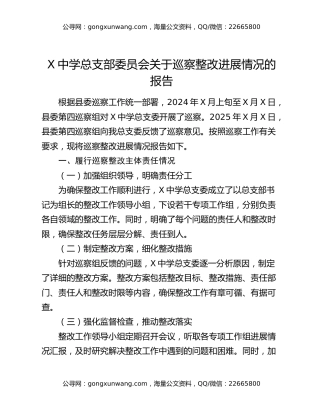 X中学总支部委员会关于巡察整改进展情况的报告