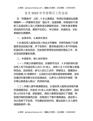 X乡2025年学雷锋月工作总结