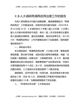 X乡人大调研两清两改两治理工作的报告