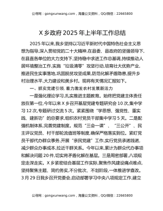 X乡政府2025年上半年工作总结
