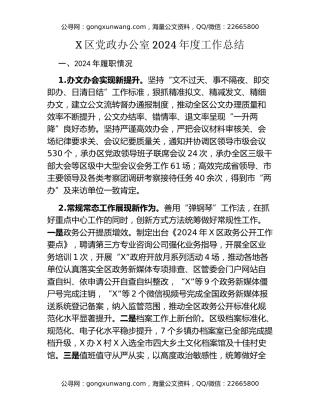 X区党政办公室2024年度工作总结