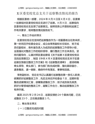 X区委党校党总支关于巡察整改情况的报告