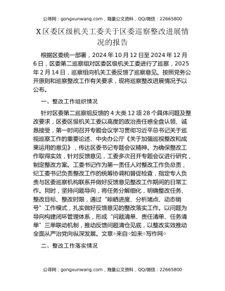 X区委区级机关工委关于区委巡察整改进展情况的报告